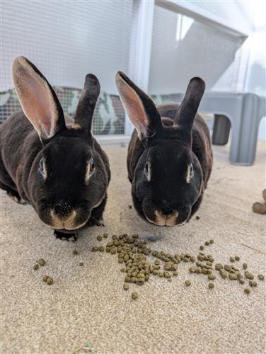 Peggy & Peter
